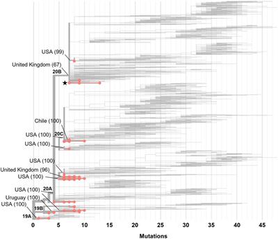 Two Years of Evolutionary Dynamics of SARS-CoV-2 in Mexico, With Emphasis on the Variants of Concern